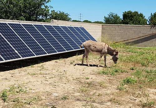 Chantiers photovoltaïque à Saint-André